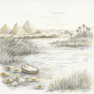 משה בתיבה והסנה